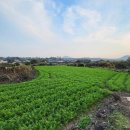 구좌읍사무소 이미지