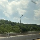 지세못입구 | [강서] 등촌 최월선칼국수 다녀왔어요_ 내돈내산 솔직후기