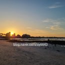 수풀하우스 이미지