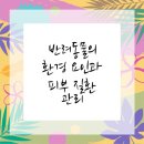 수원-1749 | 수원동물병원 반려동물 피부 문제 예방하기