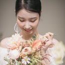 아더스냅