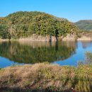 낙동강 따라 걷기27(달성보-도동서원-구지동오토캠핑장입구) 이미지