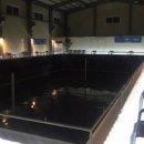 위드피시 이미지