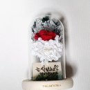 어버이날선물 추천! 감동까지 담은 카네이션 유리돔 후기♡