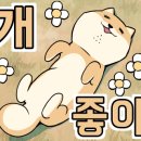 놀러와맛집 이미지