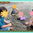 사)강원특별자치도 신체장애인복지회 춘천시지부 | [공지] 한국장애인녹색재단 강원지부, 중앙본부 홍천강플로깅