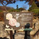 도덕1리 이미지