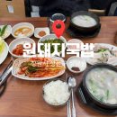 40 | 창원 3대 국밥맛집 | 40년 전통 원돼지국밥 솔직후기