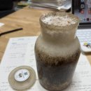 버섯애가 | 효성초 1학년 과학의 날 행사 후기 (고기느타리버섯 키트 받아옴)