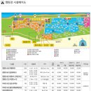 연곡해변관광지 | 강릉 연곡해변솔향기캠핑장 B존 실제 이용기｜예약 난이도·데크크기·폭풍 속 생존 후기