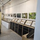 순천곤충박물관 | 🐞 순천곤충박물관 이용꿀팁 총정리! 가족 나들이에 딱 좋은 곳입니다