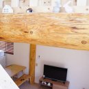 델피노숲 이미지