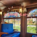 국내에서 즐기는 스위스 기차, 호그와트 기차! 하이원 추추파크 트레인(+뚜벅이 이동 꿀팁까지!)