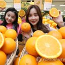 오렌지 이미지