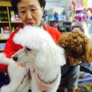 신구약국 이미지