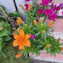 포남공인중개사사무소 이미지