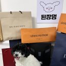 복순살롱 이미지
