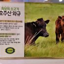 한마리생고기