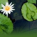 곡강초등학교 이미지