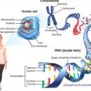 신원바이오 이미지