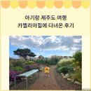 늘,예쁜개 | 아기랑 제주도 여행 서귀포 가볼만한 곳 카멜리아힐에 다녀온 후기