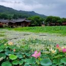 남천축사 이미지