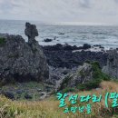 남국목장 이미지