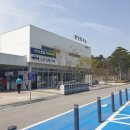 (단지내)소금길공인중개사사무소 | &lt;국내 여행&gt; 하동 화개장터 및 섬진강 벛꽃길 유채꽃 단지