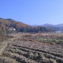 봉황공인중개사사무소 이미지