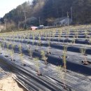 광덕계곡관광지 이미지