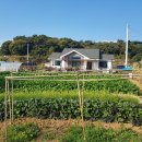 홍성부동산중개사무소 이미지