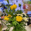 대덕미용실 이미지