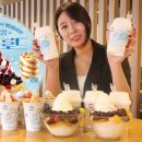 아이스달 이미지