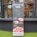 자연석 생삼겹살 | 대전 지족동 노은역 삼겹살 맛집 자연석돌구이 옥천판석