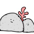 설악칼국수 이미지