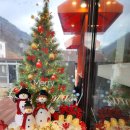 문경약돌한우정육식당 | 문경맛집》 문경새재 근처 한우구이 맛집 : 사가네 문경약돌한우정육식당