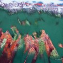 바람결-시간의 흐름 이미지