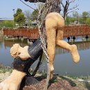 순천만공인중개사사무소 이미지