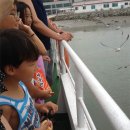 외포리선착장 이미지