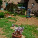 반디작은도서관 이미지