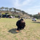 황포냉면 이미지