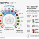 유엔그래픽 연합뉴스