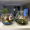 내가 만든 향기로운 정원, 보타닉 가든 | 서울 원데이클래스 커플 테라리움 만들기 추천 이색데이트 &lt;팅커의마법정원&gt; 내돈내산 솔직후기