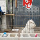 강천산모텔 이미지