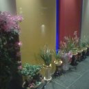 보보스모텔 이미지