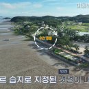 대부도람사르습지펜션