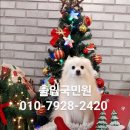 수원국제행정사사무소 이미지