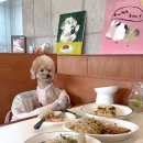 오늘DOG예쁨 | 고양 덕양구 애견동반 브런치 맛집｜사계절 제철 재료로 요리하는 공간 ‘삼식당’