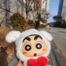 와라 뽑기방 네이버블로그