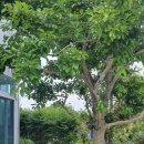 가온누리 게스트하우스 이미지